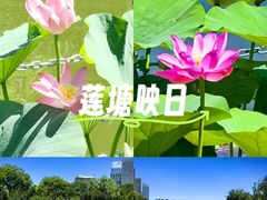 -西海子公园