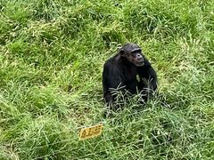 -石家庄市动物园