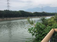-光明港公园