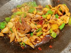 -聚鑫朋酸菜肥肠(文艺路口店)