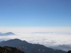 -西双版纳原始森林公园