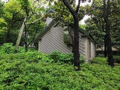 -徐家汇源景区-衡山公园