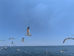 -大连海昌东方水城