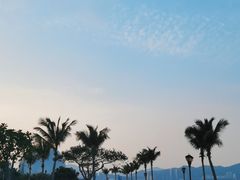 -野狸岛