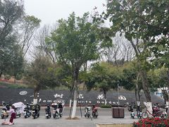 -东莞植物园