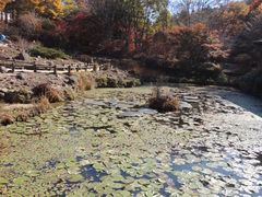 -神户市立六甲山牧场