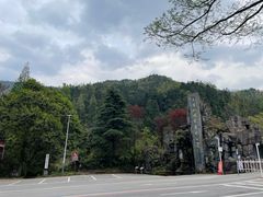 -大围山国家森林公园