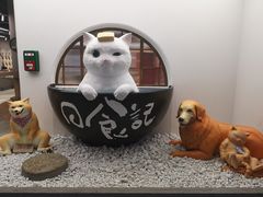 -上海世茂广场(南京东路店)