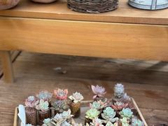 -北马山庄植趣咖啡
