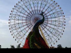 -七彩云南欢乐世界