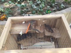 -万源龙顺度假庄园生态观光园