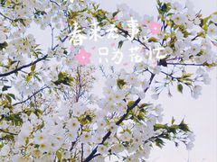 -西北湖绿化广场