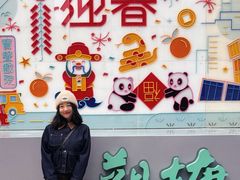 -杏花新城