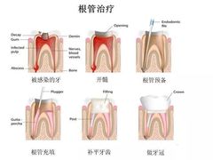 -团圆口腔·种植中心(锦江院区)