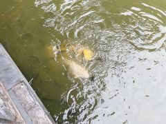 -珠海圆明新园