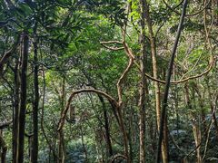 -七仙岭温泉国家森林公园