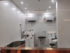 -1013 PET SHOP精品宠物商店(丁香店)