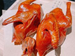 -三强鸽子(中原路店)
