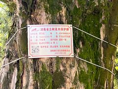 -岳麓山风景名胜区