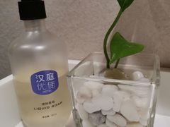 -汉庭优佳(成都一品天下蜀汉路东地铁站店)