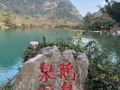 -靖西鹅泉风景区