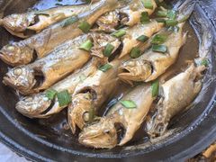 -宾朋海鲜特色美食餐厅·纯手工鲅鱼水饺(兴海路店)