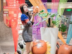 -红星美凯龙北京至尊MALL(东四环中路店)