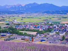 -富田农场