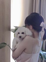 -森日式美甲沙龙MORI NAIL总店