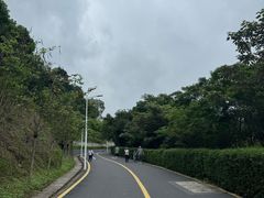 -黄埔油麻山森林公园