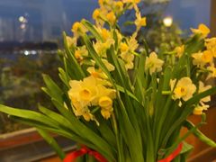 -湖畔居茶楼(湖滨店)