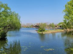 -溱湖国家湿地公园