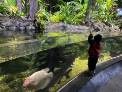 -江和美海洋公园