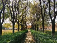 -汉景帝阳陵博物院