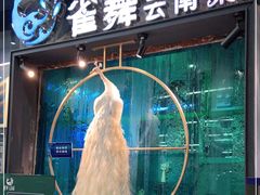 -雀舞云南菜(乐客城店)
