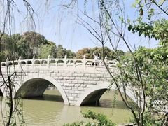 -南汇桃花村