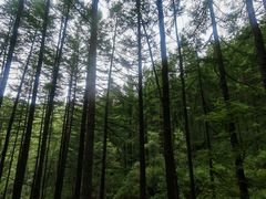 -驼梁风景区