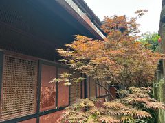 -峨眉山报国寺