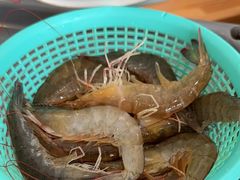 -濠轩阁特色生蚝火锅(水湾路店)