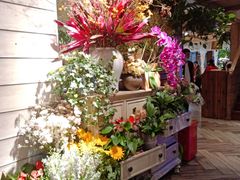 -春暖花开(西溪店)