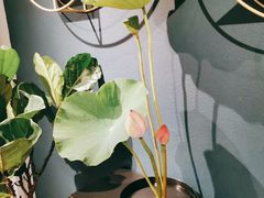 -张一元茶庄(望京店)