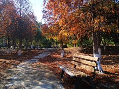 -艾溪湖湿地公园