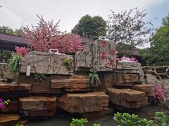 -万象温泉景区