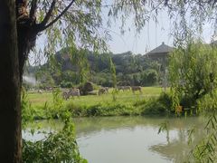 -宁波野生动物园
