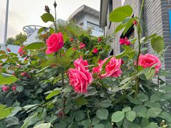 -江苏科技大学(梦溪校区)