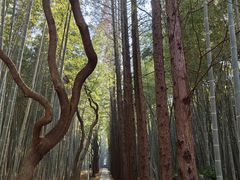 -同里国家湿地公园