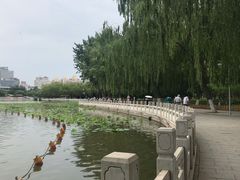 -莲花池公园