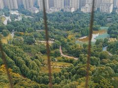-龙头寺公园