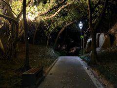 -金鸡山公园