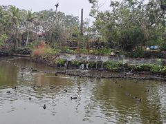 -海南热带野生动植物园